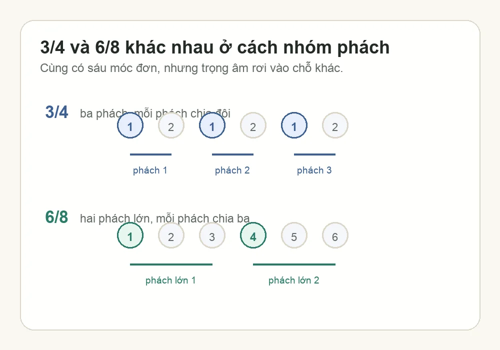 Sơ đồ so sánh cách nhóm phách giữa nhịp 3/4 và 6/8 cho người mới học giữ nhịp
