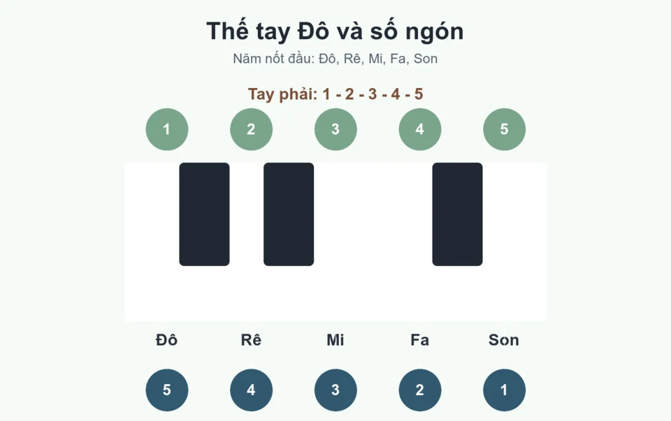 Sơ đồ thế tay Đô trên piano với số ngón tay phải và tay trái