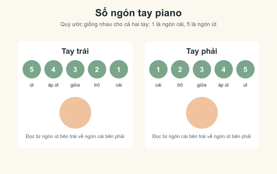Sơ đồ đánh số ngón tay piano cho tay trái và tay phải