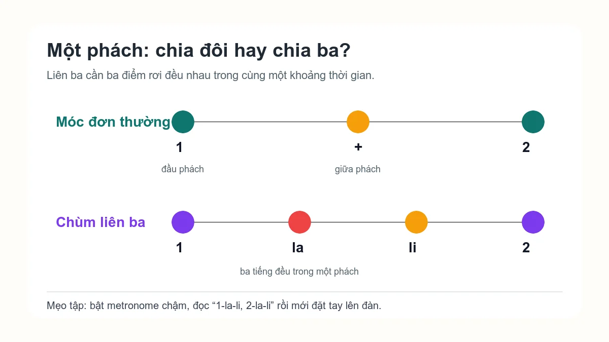 Sơ đồ so sánh móc đơn thường và chùm liên ba trong một phách