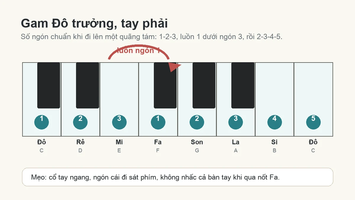 Sơ đồ số ngón tay phải khi tập kỹ thuật ngón cái luồn trên gam Đô trưởng piano