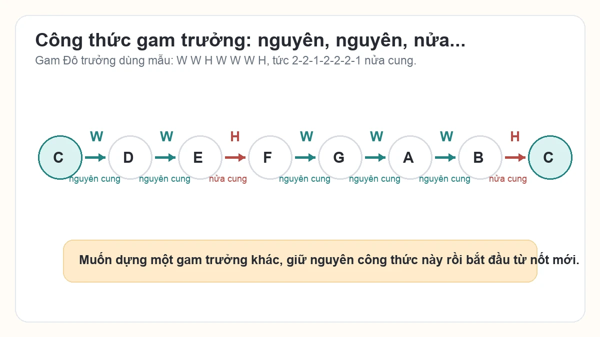 Sơ đồ công thức gam Đô trưởng W W H W W W H