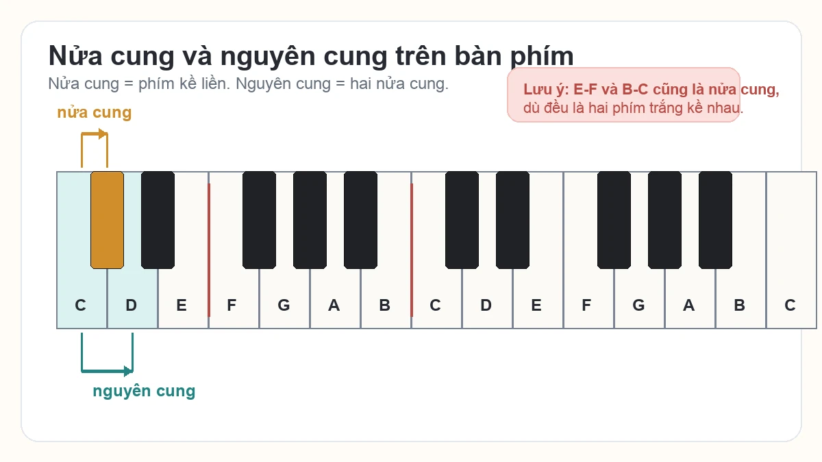 Sơ đồ phím piano minh họa nửa cung và nguyên cung