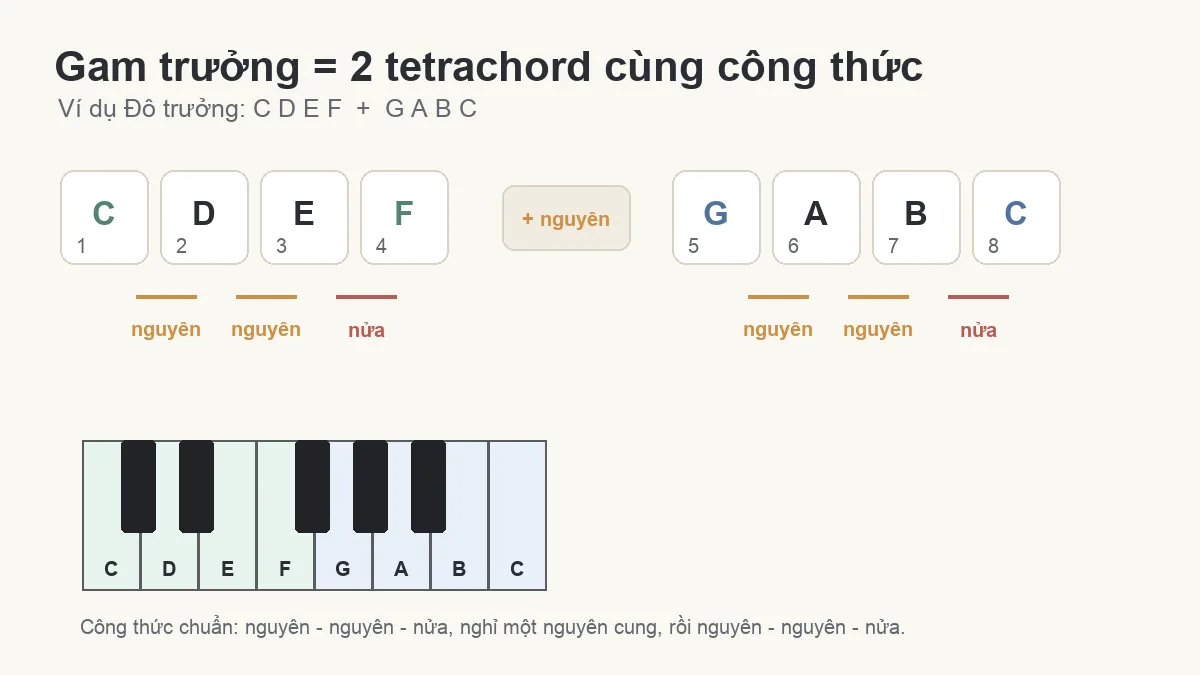 Sơ đồ tetrachord và gam Đô trưởng trên bàn phím piano