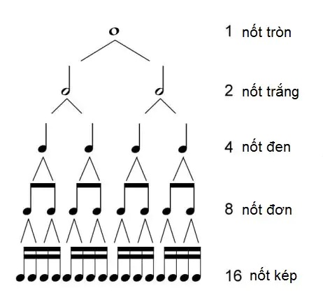 trường độ nốt nhạc